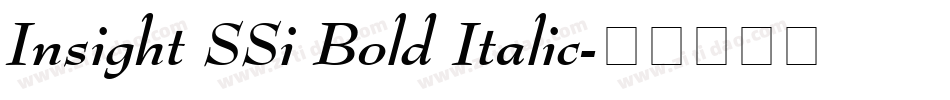 Insight SSi Bold Italic字体转换